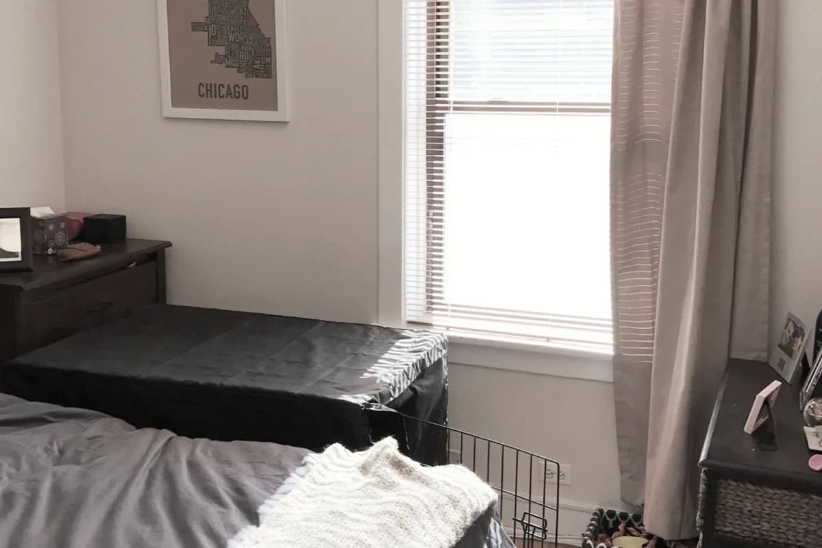 1255 W. Henderson St, Apt 3 — photo 5