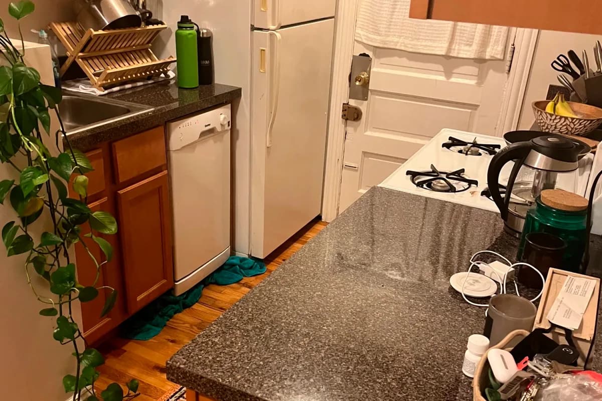 3815-23 N. Greenview Ave, Apt 2e — photo 3