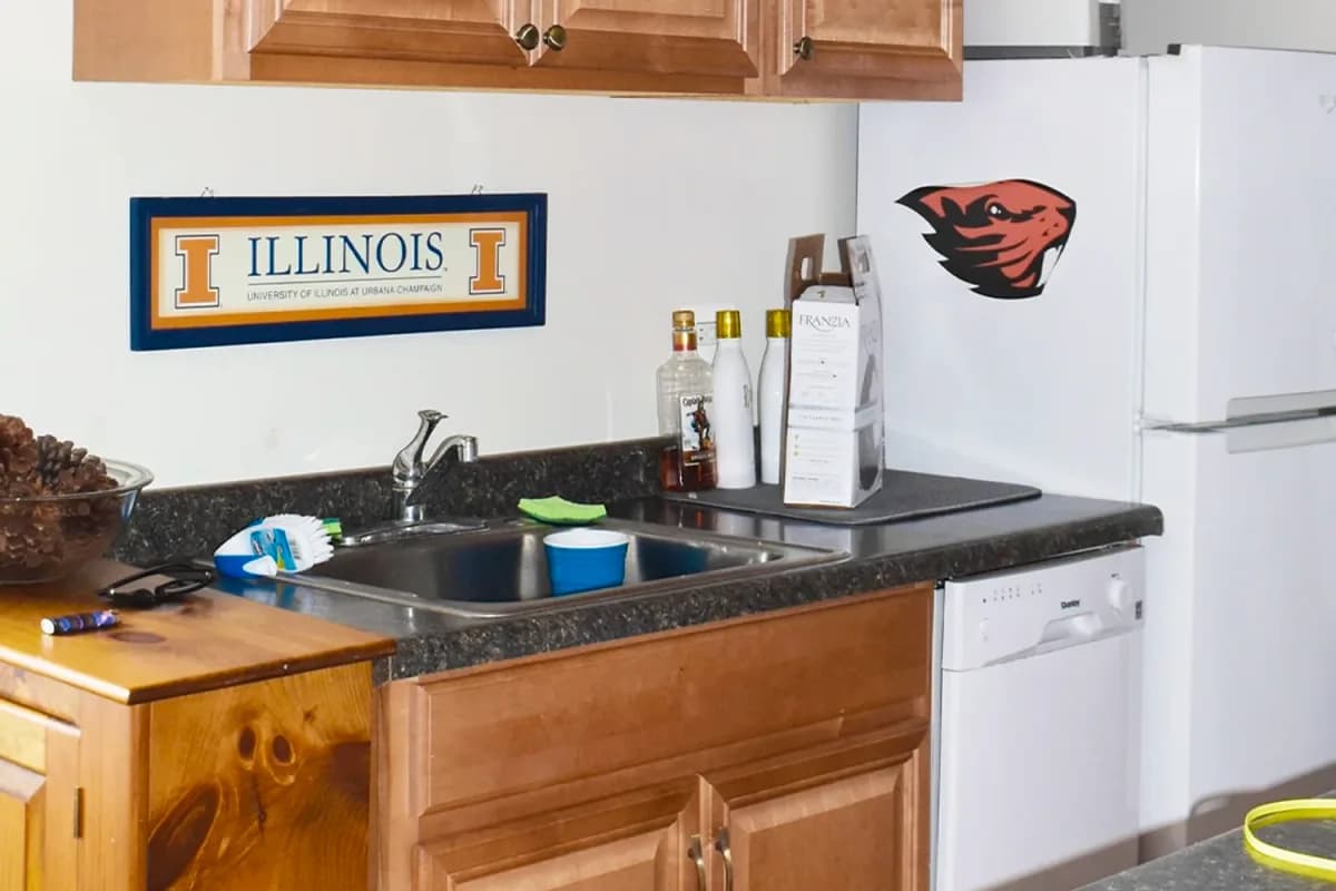 3815-23 N. Greenview Ave, Apt 3e — photo 1
