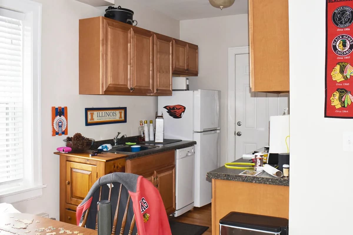 3815-23 N. Greenview Ave, Apt 3e — photo 2