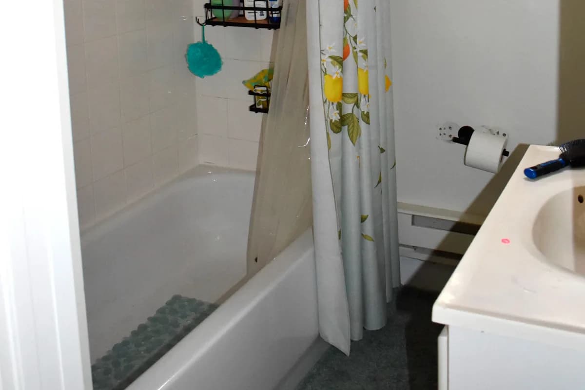 3815-23 N. Greenview Ave, Apt 3815-GDN, photo 3