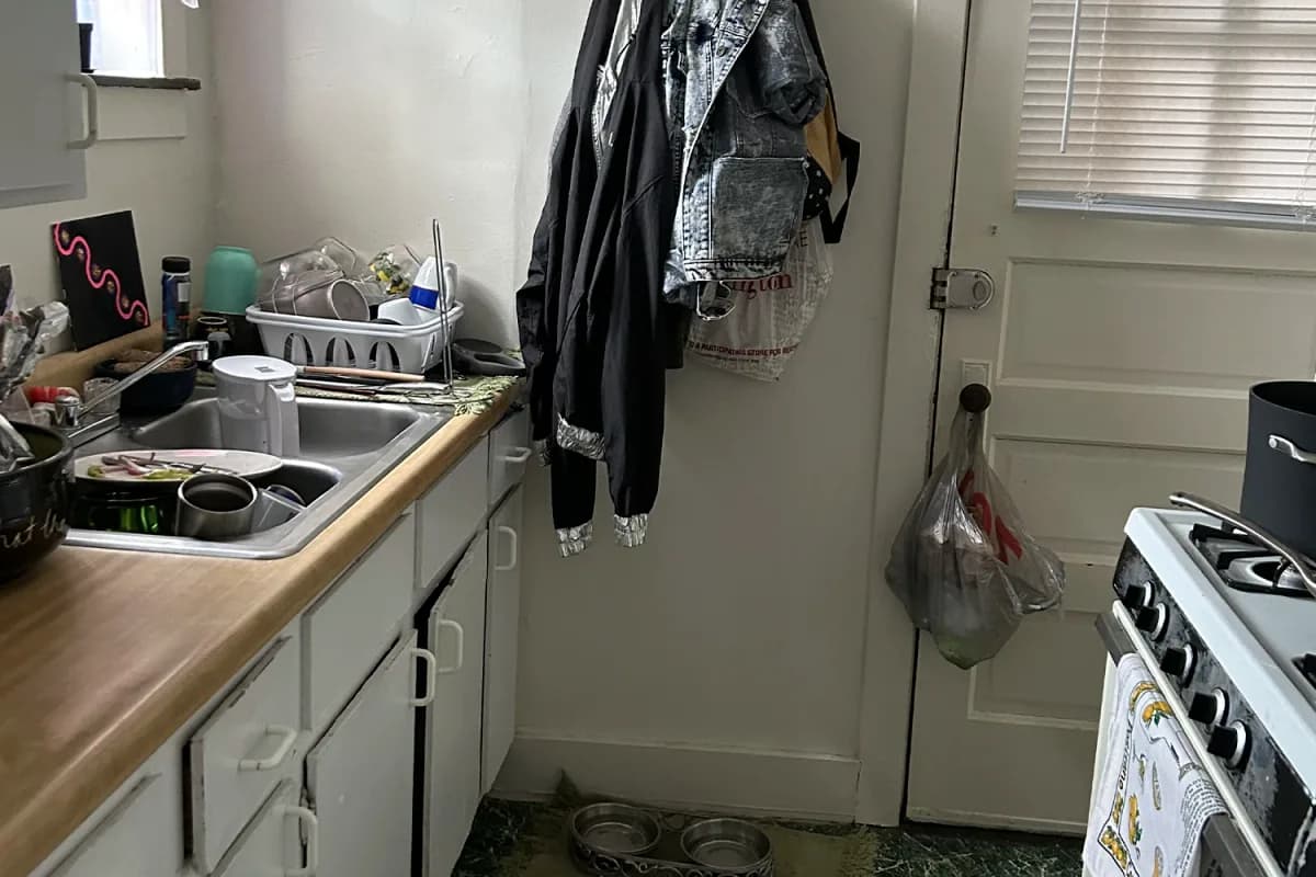 3839-45 N. Greenview Ave, Apt 2 — photo 2
