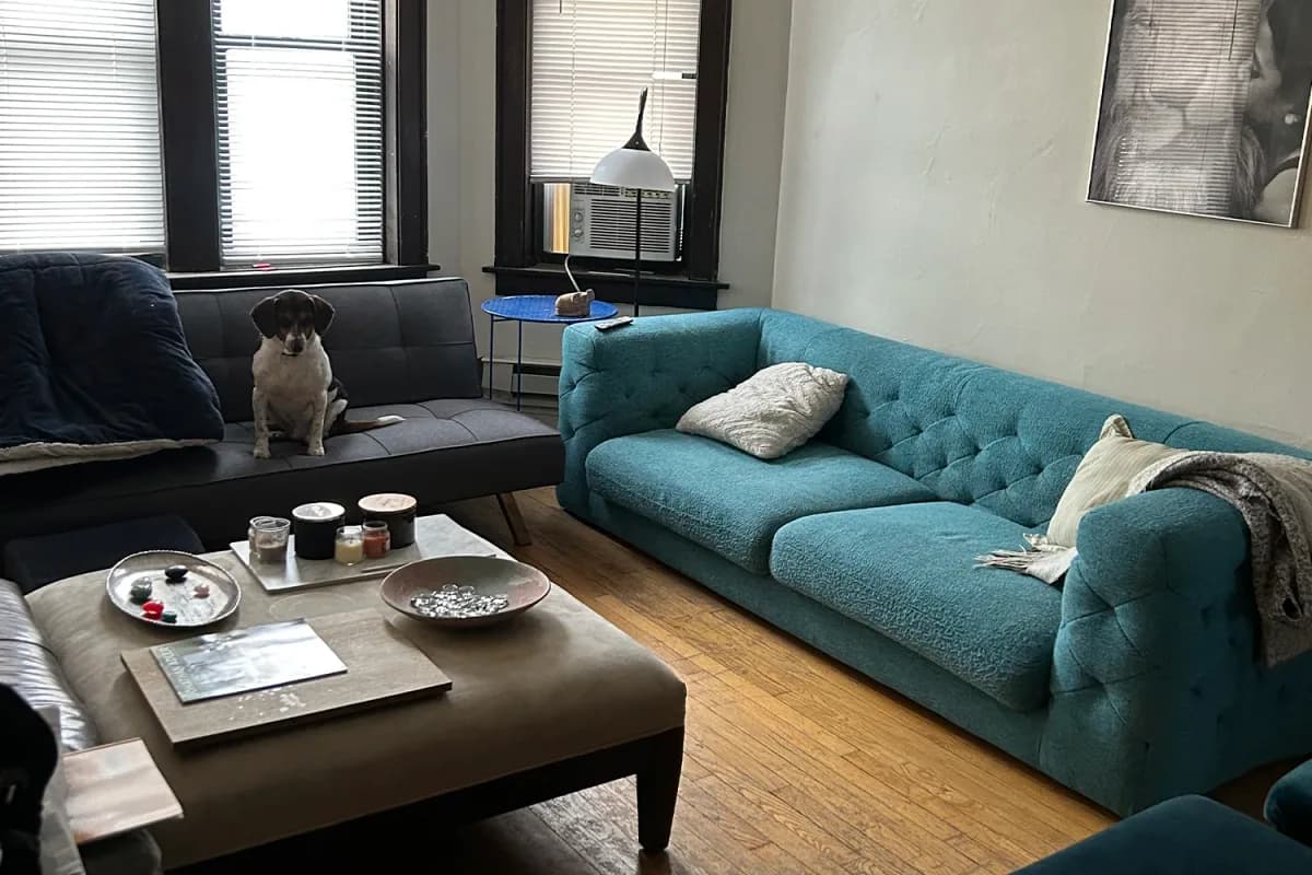3839-45 N. Greenview Ave, Apt 2 — photo 5