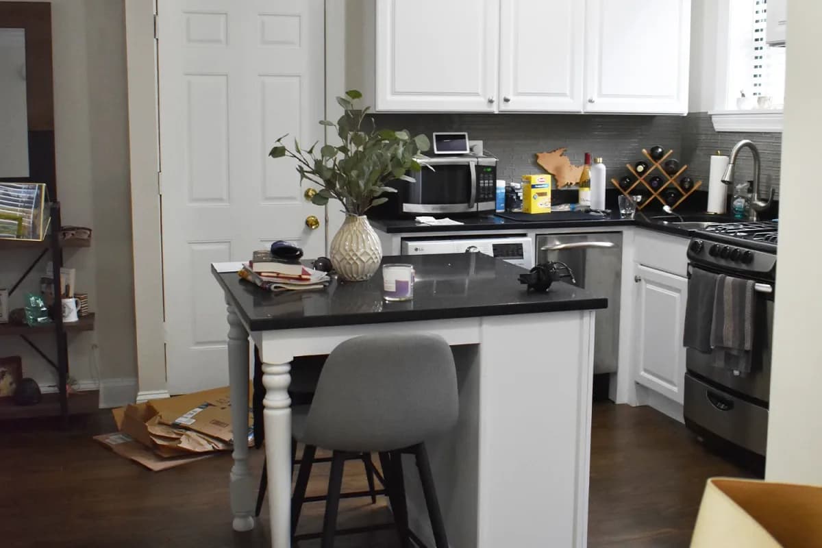 3839-45 N. Greenview Ave, Apt 2e — photo 4