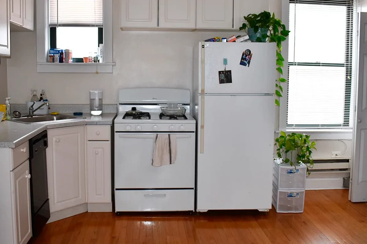 3839-45 N. Greenview Ave, Apt 3839-3e — photo 1