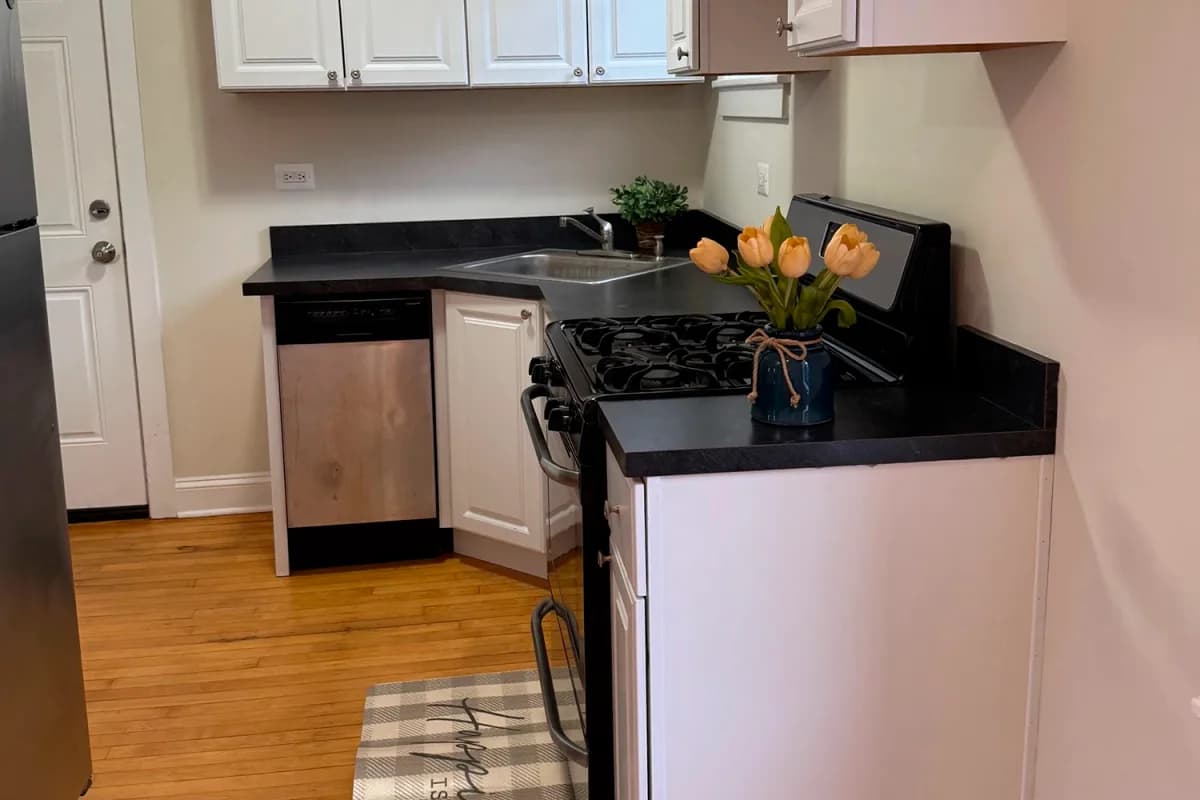 3839-45 N. Greenview Ave, Apt 2e — photo 4