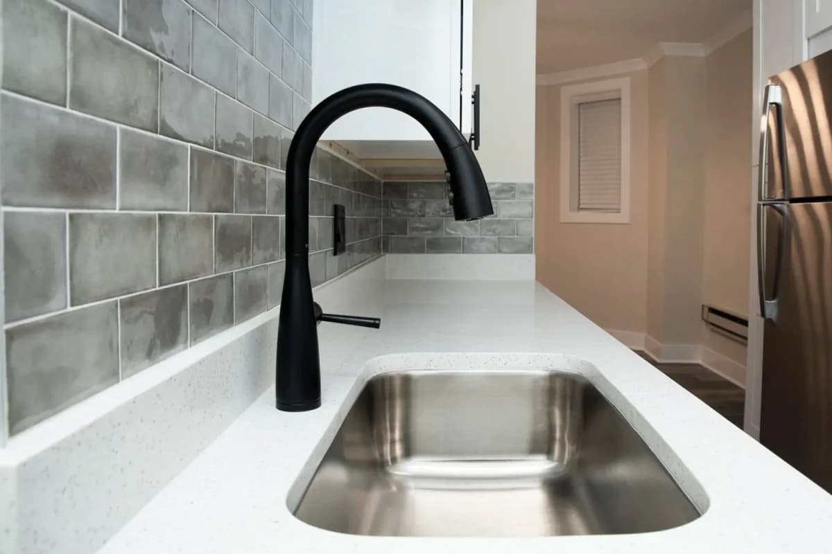 3839-45 N. Greenview Ave, Apt gdn — photo 3
