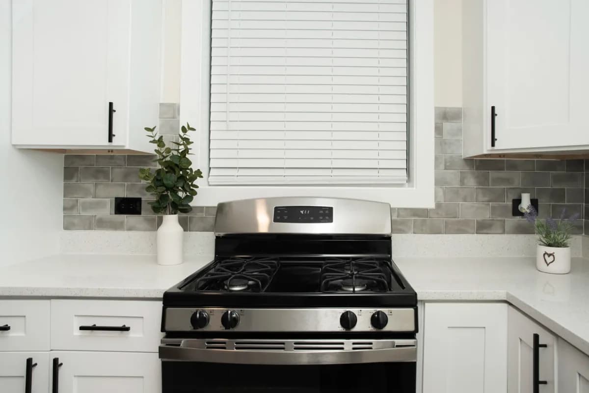 3839-45 N. Greenview Ave, Apt gdn — photo 4