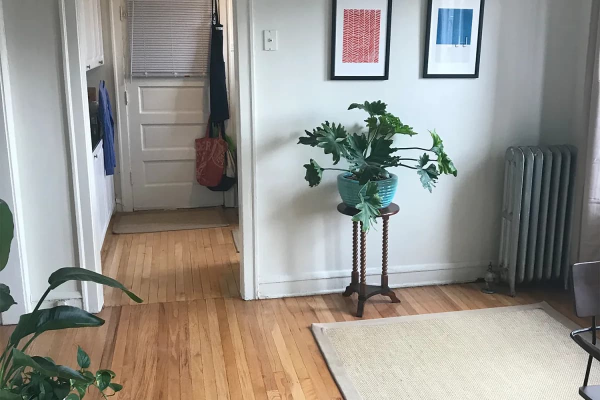 4218 N. Clark St, Apt 3 — photo 4