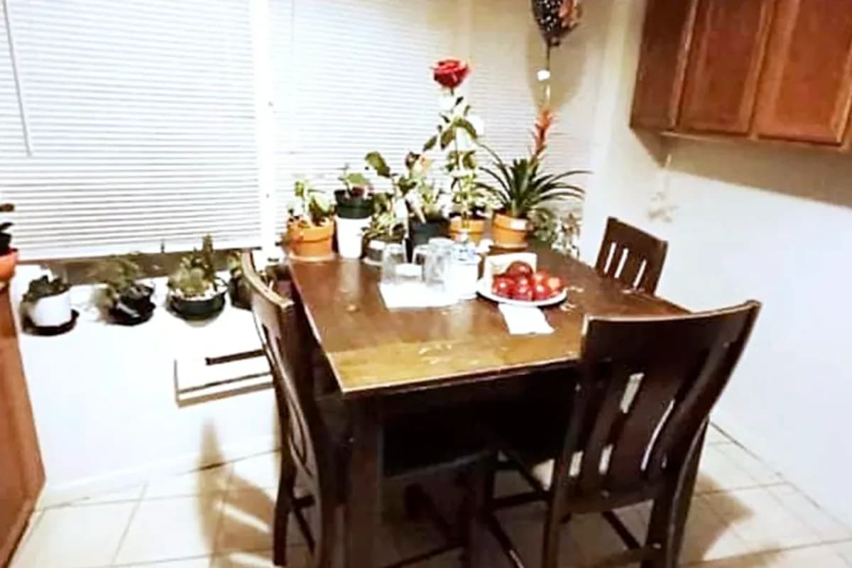 4216-26 N. Clark St, Apt gdn — photo 1