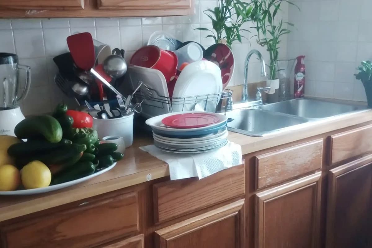 4216-26 N. Clark St, Apt gdn — photo 3