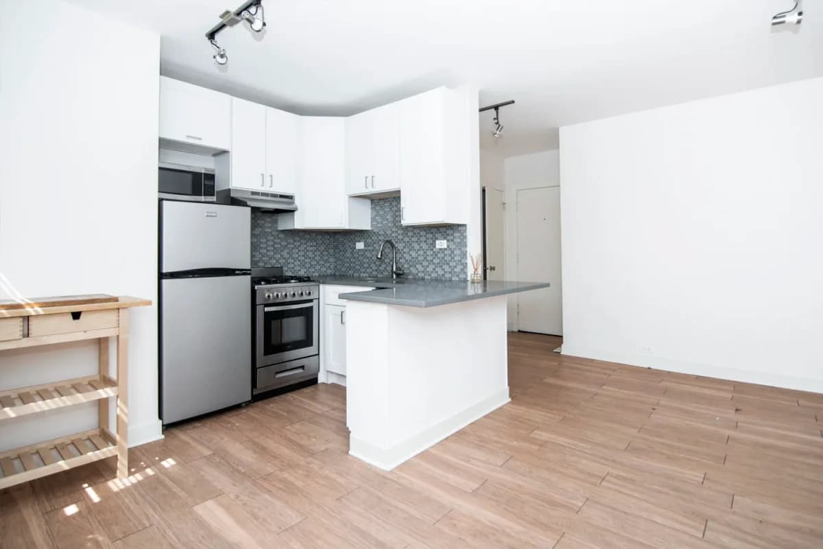 511 W. Belmont Ave, Apt 511-38 — photo 4