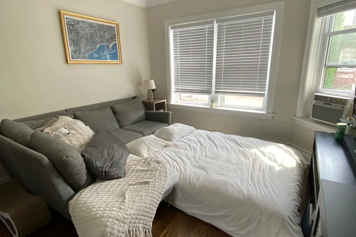 646-48 W. Roscoe St, Apt 646.5-3S — photo 3