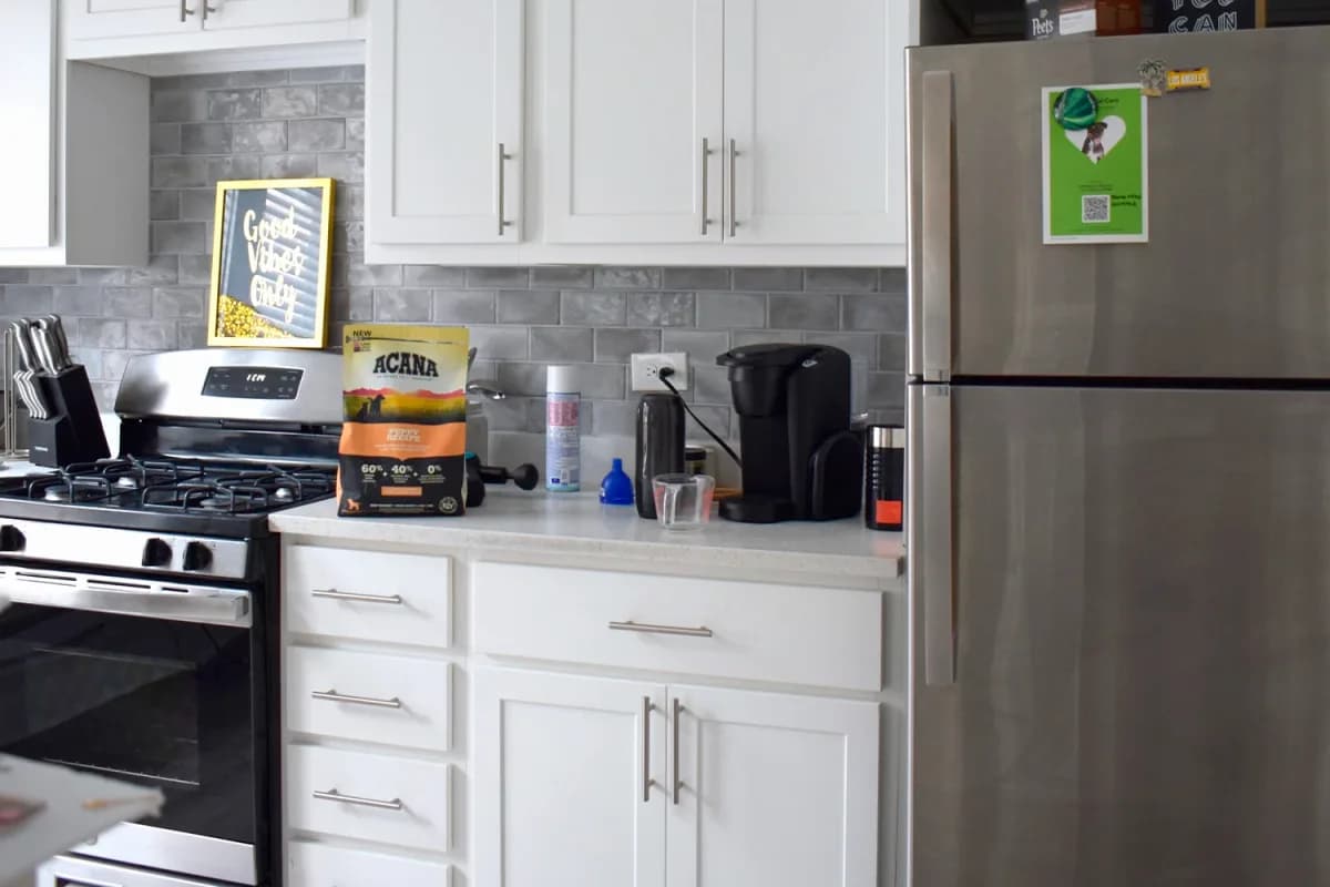 837.5 W. Cornelia Ave, Apt 3N — photo 1