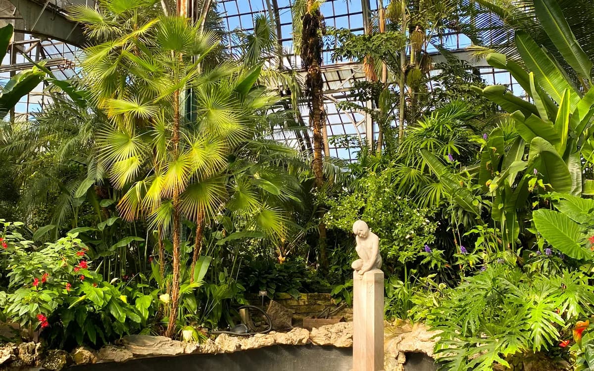 Lush palms and tropical plants inside the glass-domed Palm House at Lincoln Park Conservatory