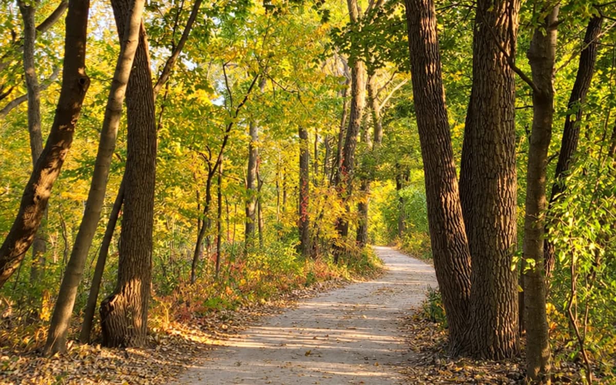 A shaded gravel path through wooded parkland along the Green Bay Trail in Winnetka